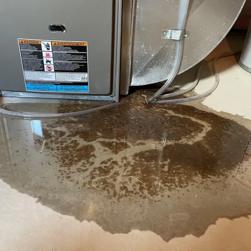 Appliance Leak Cleanup in Kill Devil Hills, NC